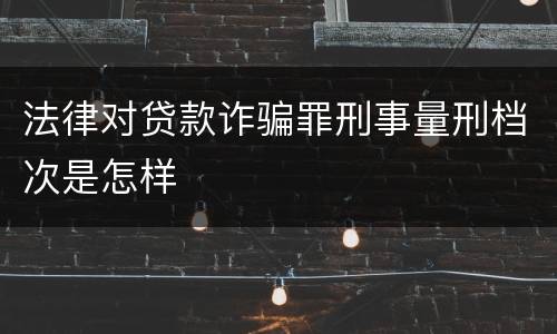 法律对贷款诈骗罪刑事量刑档次是怎样