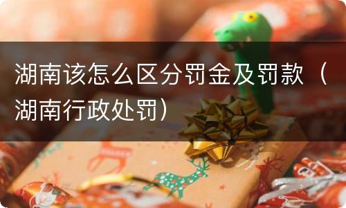 湖南该怎么区分罚金及罚款（湖南行政处罚）