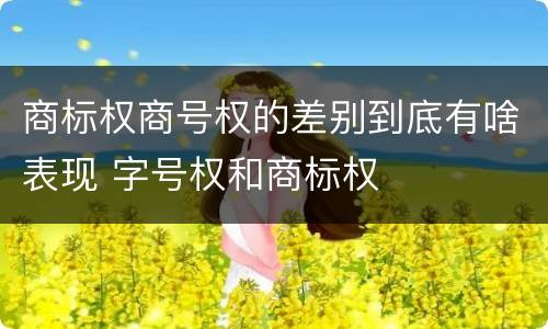 商标权商号权的差别到底有啥表现 字号权和商标权