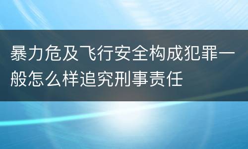 暴力危及飞行安全构成犯罪一般怎么样追究刑事责任