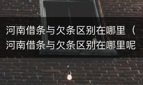河南借条与欠条区别在哪里（河南借条与欠条区别在哪里呢）