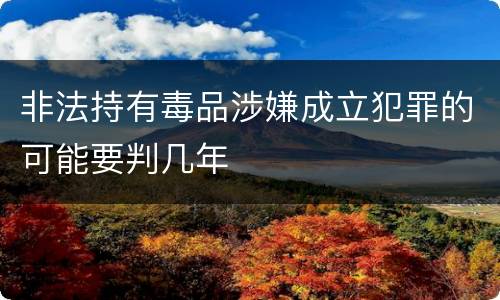 非法持有毒品涉嫌成立犯罪的可能要判几年