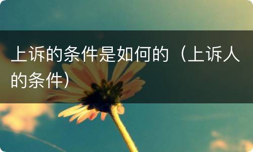 上诉的条件是如何的（上诉人的条件）