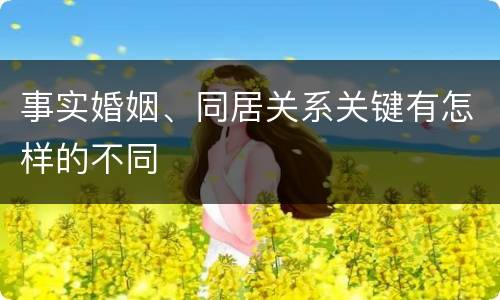 事实婚姻、同居关系关键有怎样的不同