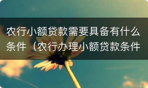 农行小额贷款需要具备有什么条件（农行办理小额贷款条件）