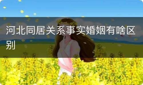 河北同居关系事实婚姻有啥区别
