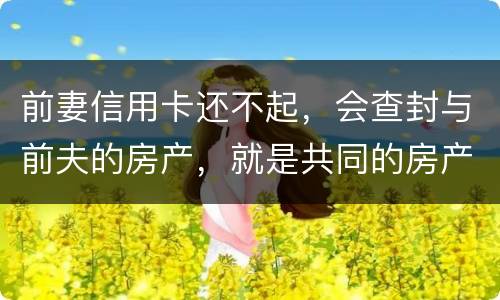 前妻信用卡还不起，会查封与前夫的房产，就是共同的房产，谢谢