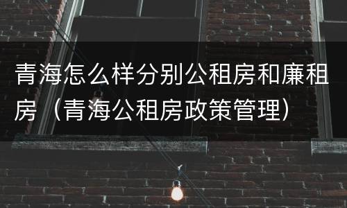 青海怎么样分别公租房和廉租房（青海公租房政策管理）