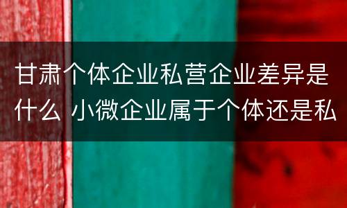 甘肃个体企业私营企业差异是什么 小微企业属于个体还是私营
