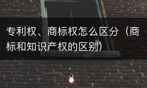 专利权、商标权怎么区分（商标和知识产权的区别）