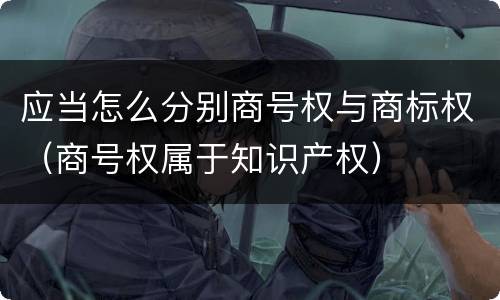应当怎么分别商号权与商标权（商号权属于知识产权）