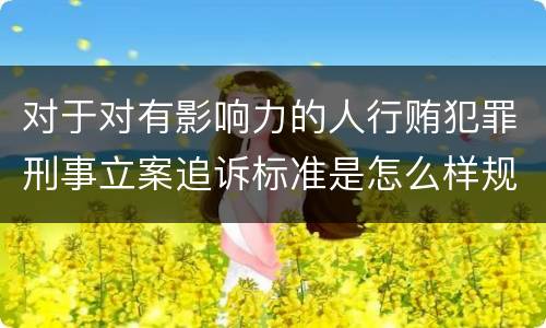 对于对有影响力的人行贿犯罪刑事立案追诉标准是怎么样规定