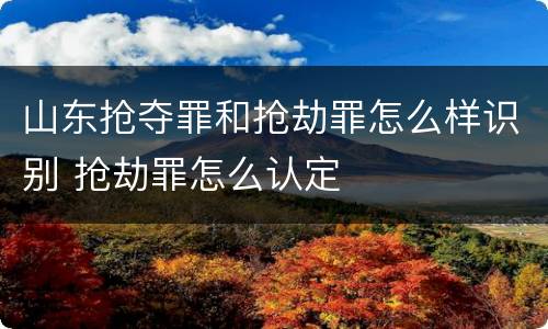 山东抢夺罪和抢劫罪怎么样识别 抢劫罪怎么认定