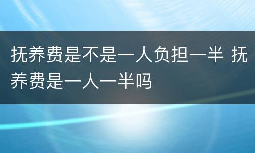 抚养费是不是一人负担一半 抚养费是一人一半吗