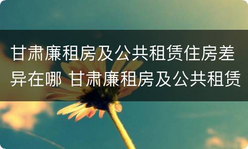 甘肃廉租房及公共租赁住房差异在哪 甘肃廉租房及公共租赁住房差异在哪查