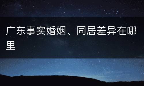 广东事实婚姻、同居差异在哪里