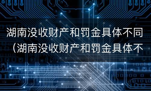 湖南没收财产和罚金具体不同（湖南没收财产和罚金具体不同吗）