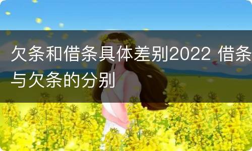 欠条和借条具体差别2022 借条与欠条的分别