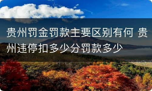 贵州罚金罚款主要区别有何 贵州违停扣多少分罚款多少