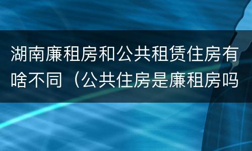 湖南廉租房和公共租赁住房有啥不同（公共住房是廉租房吗）