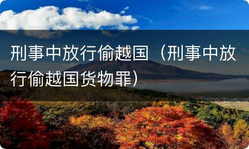 刑事中放行偷越国（刑事中放行偷越国货物罪）