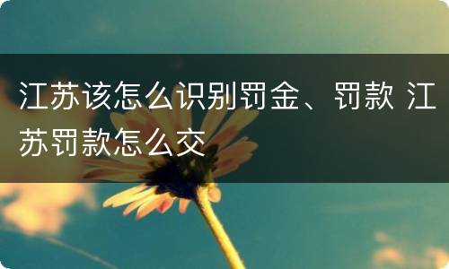 江苏该怎么识别罚金、罚款 江苏罚款怎么交