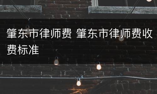 肇东市律师费 肇东市律师费收费标准