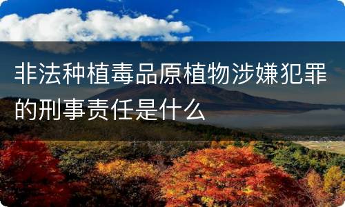 非法种植毒品原植物涉嫌犯罪的刑事责任是什么