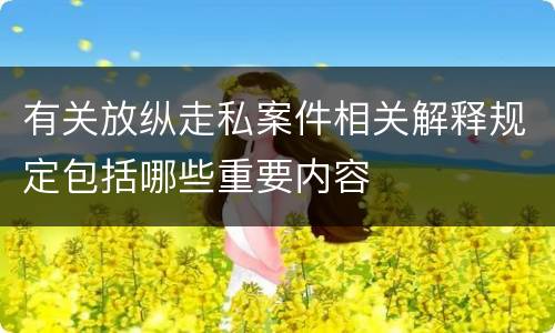 有关放纵走私案件相关解释规定包括哪些重要内容