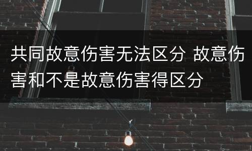 共同故意伤害无法区分 故意伤害和不是故意伤害得区分