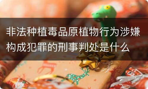 非法种植毒品原植物行为涉嫌构成犯罪的刑事判处是什么