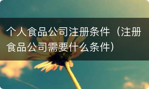 个人食品公司注册条件（注册食品公司需要什么条件）