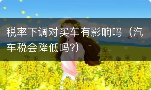 税率下调对买车有影响吗（汽车税会降低吗?）
