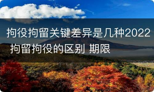 拘役拘留关键差异是几种2022 拘留拘役的区别 期限