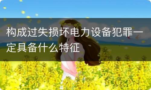 构成过失损坏电力设备犯罪一定具备什么特征