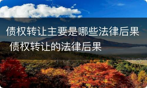 债权转让主要是哪些法律后果 债权转让的法律后果