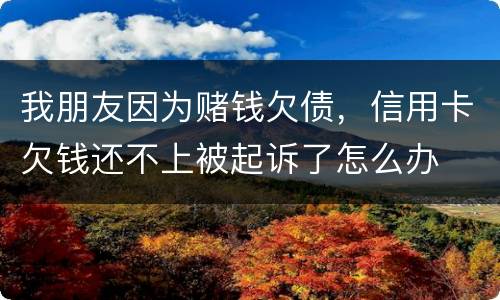 我朋友因为赌钱欠债，信用卡欠钱还不上被起诉了怎么办