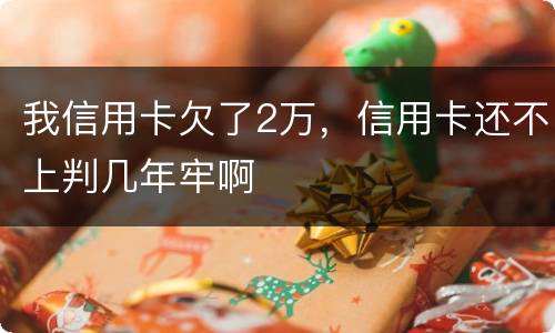 我信用卡欠了2万，信用卡还不上判几年牢啊