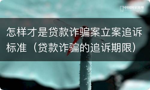 怎样才是贷款诈骗案立案追诉标准（贷款诈骗的追诉期限）