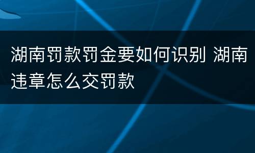 湖南罚款罚金要如何识别 湖南违章怎么交罚款