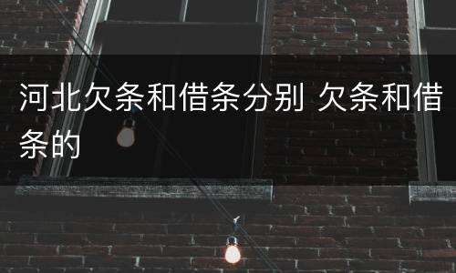 河北欠条和借条分别 欠条和借条的