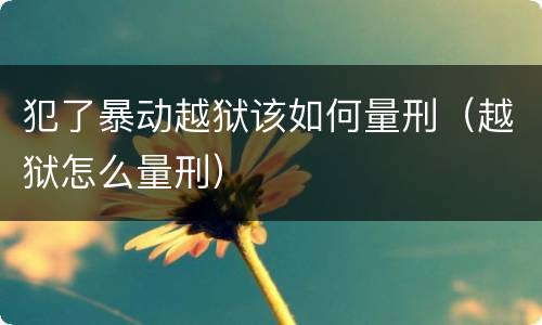 犯了暴动越狱该如何量刑（越狱怎么量刑）