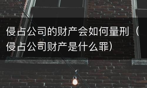 侵占公司的财产会如何量刑（侵占公司财产是什么罪）