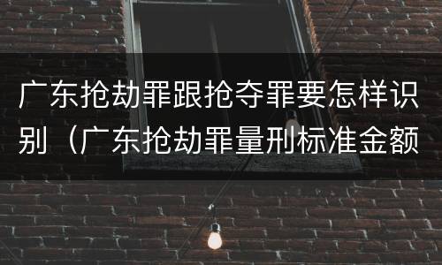 广东抢劫罪跟抢夺罪要怎样识别（广东抢劫罪量刑标准金额）