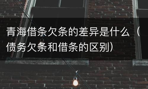 青海借条欠条的差异是什么（债务欠条和借条的区别）