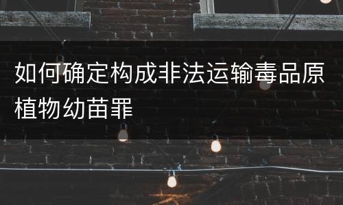 如何确定构成非法运输毒品原植物幼苗罪