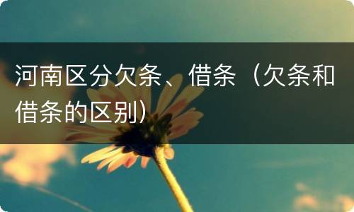 河南区分欠条、借条（欠条和借条的区别）