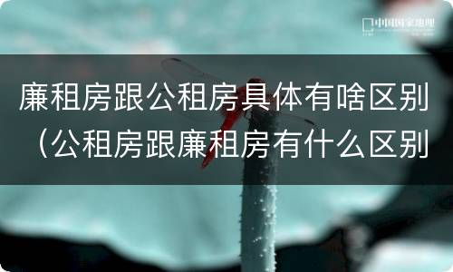 廉租房跟公租房具体有啥区别（公租房跟廉租房有什么区别）