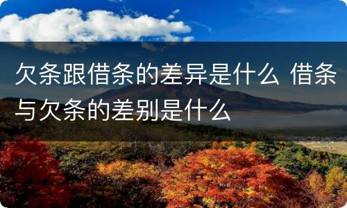 欠条跟借条的差异是什么 借条与欠条的差别是什么