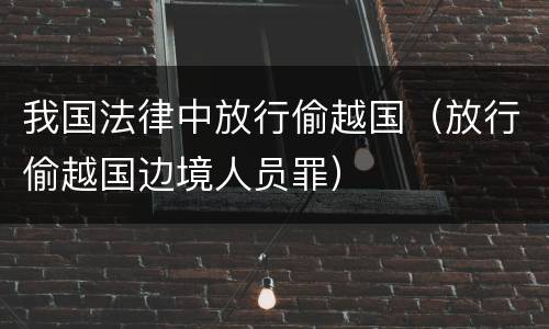 我国法律中放行偷越国（放行偷越国边境人员罪）